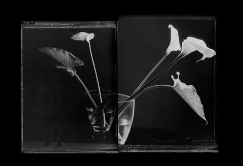 Paolo Monina | Fiori 8 | 33x48 cm | PM_8_F