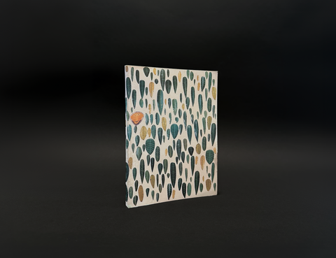 Francesco Bocchini - Anima patata