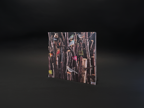 Chiara Passigli - Wunderbox