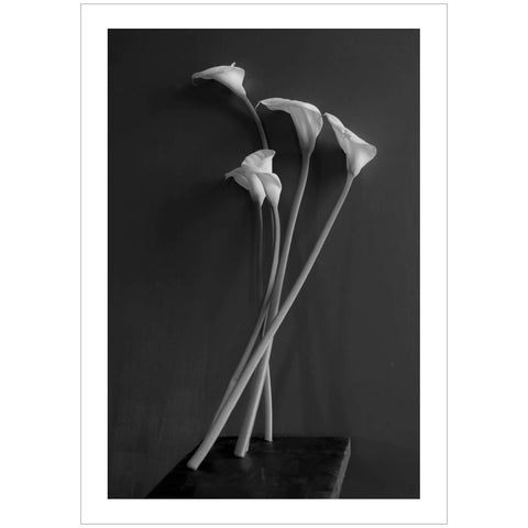 Paolo Monina | Fiori 4 | 33x48 cm | PM_4_F