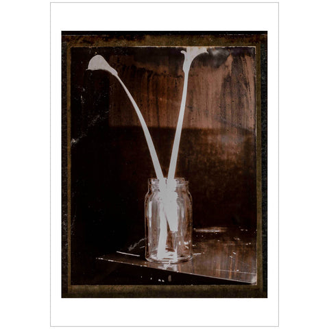 Paolo Monina | Fiori 1 | 33x48 cm | PM_1_F