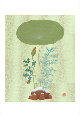 Chiara Passigli | Japanese Spring 1 | ( PAS 32)