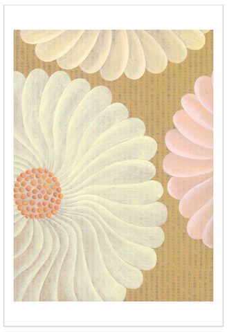 Chiara Passigli | ( PAS 50)