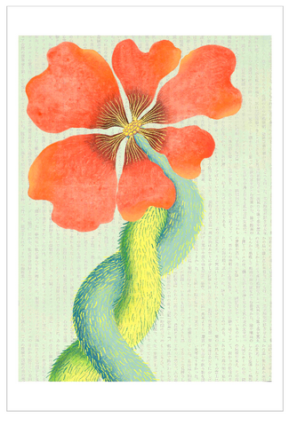 Chiara Passigli | ( PAS 51)