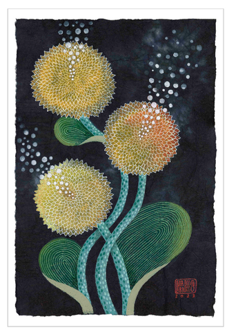 Chiara Passigli | ( PAS 54) GRANDE FORMATO