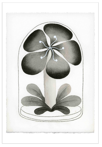 Chiara Passigli | ( PAS 58)