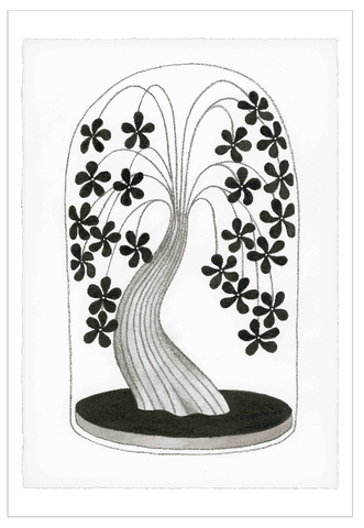 Chiara Passigli | ( PAS 59)