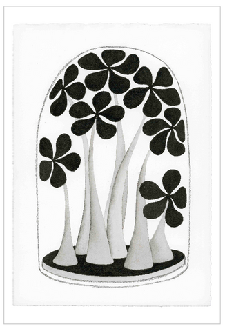 Chiara Passigli | ( PAS 60)