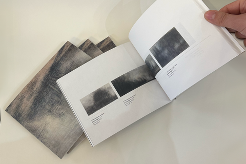 Lena Salvatori | La luce negli alberi. Variazioni su un tema di paesaggio