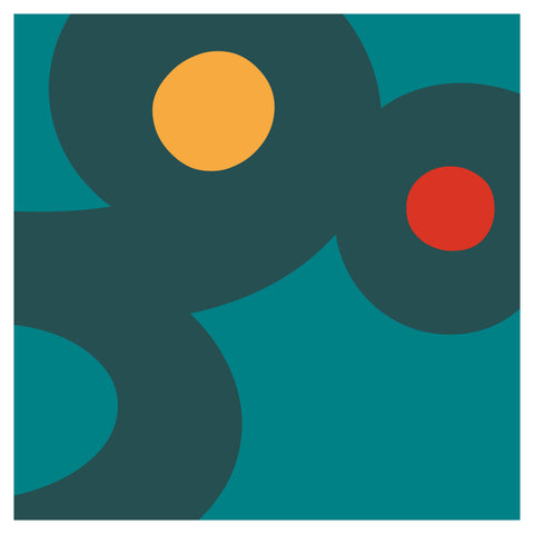 Adriano Attus | Dumbers | AA DUMB 06 A