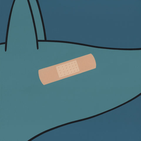 Massimo Caccia | MC 19