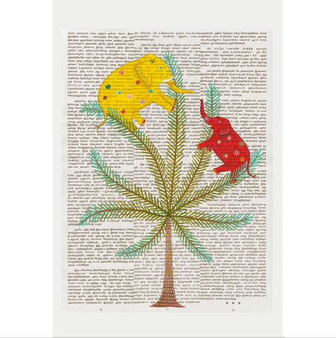 Chiara Passigli | Indian Summer 11 | (PAS 24)