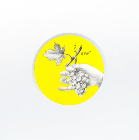 Clara Brasca | Bacco | 30 x 30 cm | (BRA 01)