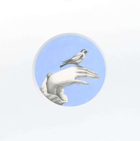 Clara Brasca | Il cardellino | 30 x 30 cm | (BRA 04)