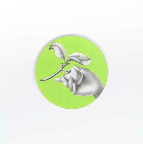 Clara Brasca | Il dono | 30 x 30 cm | (BRA 05)