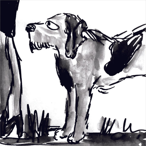 Beatrice Gaspari | Cane | 27 x 27 cm | (MINI BEA 51)