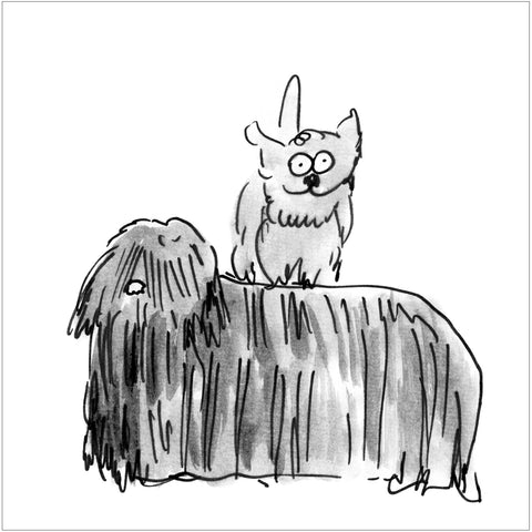 Beatrice Gaspari | Un cane sopra l'altro | 27 x 27 cm | (MINI BEA 32)