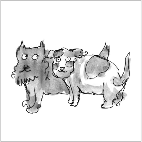 Beatrice Gaspari | Cane e gatto | 27 x 27 cm | (MINI BEA 35)