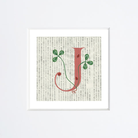 Chiara Passigli | Lettera J