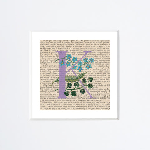 Chiara Passigli | Lettera K