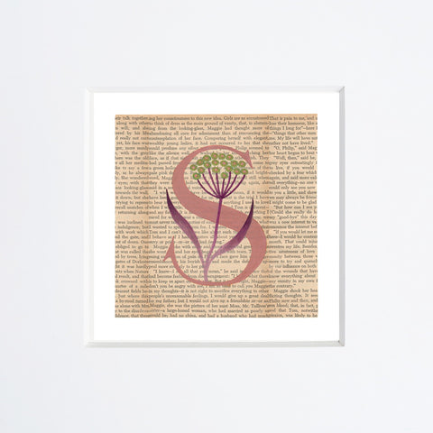 Chiara Passigli | Lettera S (2)