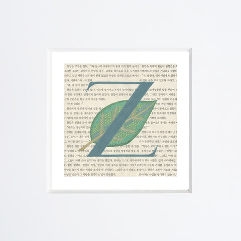 Chiara Passigli | Lettera Z