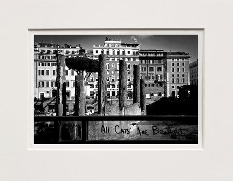 Donato Passiatore | DP RM 08