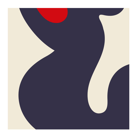 Adriano Attus| Mini Dumbers (MINIATTUS DUM 01)