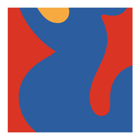 Adriano Attus| Mini Dumbers (MINIATTUS DUM 02)