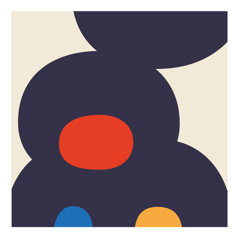 Adriano Attus| Mini Dumbers (MINIATTUS DUM 03)