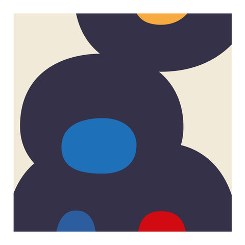 Adriano Attus| Mini Dumbers (MINIATTUS DUM 04)