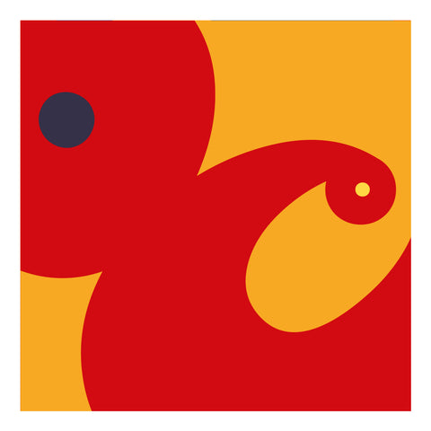 Adriano Attus| Mini Dumbers (MINIATTUS DUM 06)