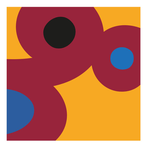 Adriano Attus| Mini Dumbers (MINIATTUS DUM 12)