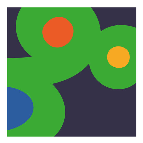 Adriano Attus| Mini Dumbers (MINIATTUS DUM 13)