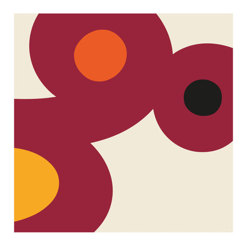 Adriano Attus| Mini Dumbers (MINIATTUS DUM 14)