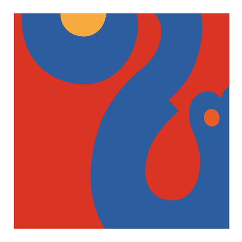 Adriano Attus| Mini Dumbers (MINIATTUS DUM 15)