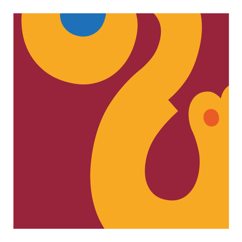 Adriano Attus| Mini Dumbers (MINIATTUS DUM 16)