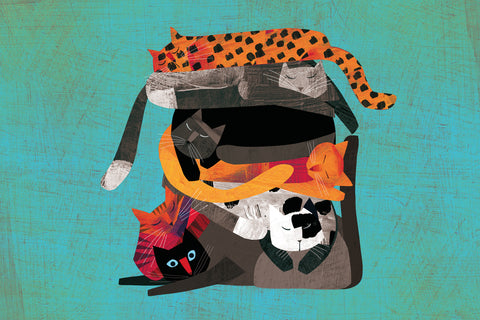 Giulia Orecchia | Gatti | 40 x 60 cm | (GO07)