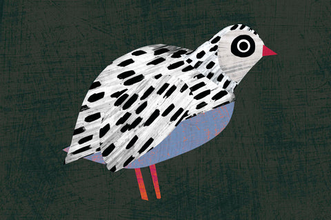 Giulia Orecchia | Quaglia | 40 x 60 cm | (GO28)