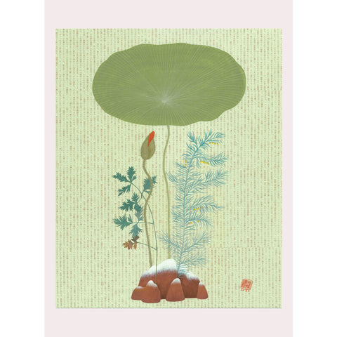 Chiara Passigli | Japanese Spring 1 | ( PAS 32)