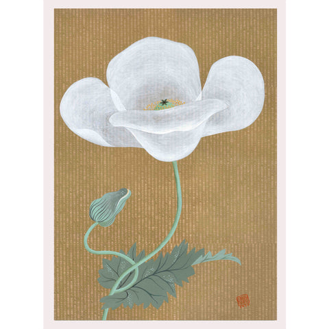 Chiara Passigli | Japanese Spring 2 | ( PAS 33)