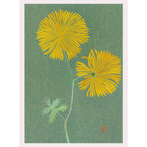 Chiara Passigli | Japanese Spring 3 | ( PAS 34)