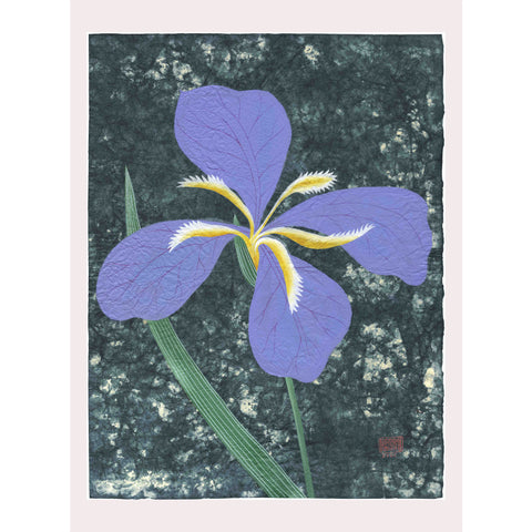 Chiara Passigli | Japanese Spring 5 | ( PAS 36)