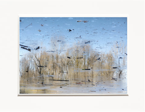 Licia Di Segni | LDIS 01