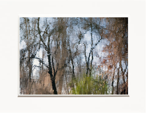 Licia Di Segni | LDIS 02