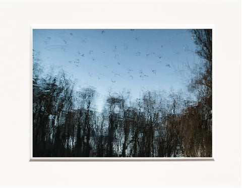 Licia Di Segni | LDIS 03