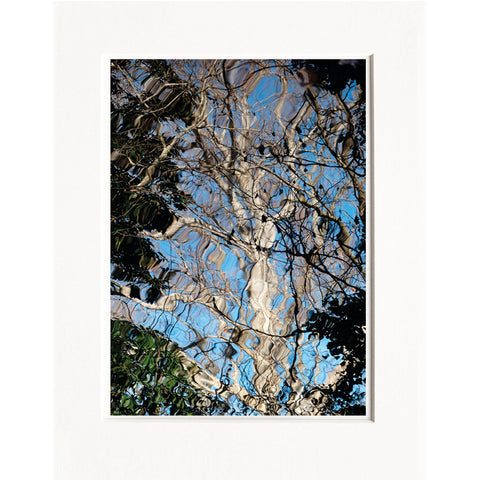 Licia Di Segni | LDIS 04