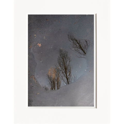 Licia Di Segni | LDIS 05