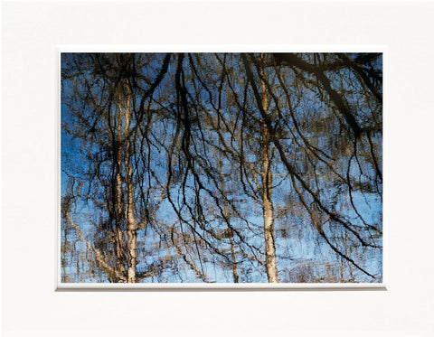 Licia Di Segni | LDIS 06