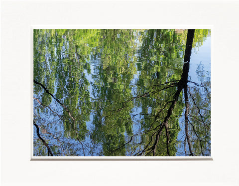 Licia Di Segni | LDIS 07